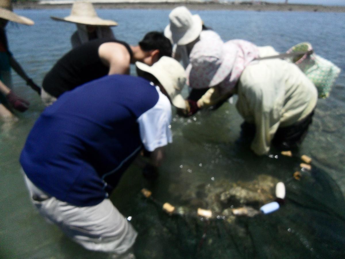 Penghu Chenhi Bay Homestay Baisha Eksteriør billede